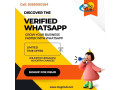verified-whatsapp-business-api-everything-you-need-to-know-about-the-whatsapp-business-api-small-0