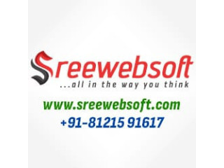 Professional High-Quality Website Design | SREE WEB SOFT