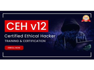 CEH Certification Online Training with Guaranteed Pass Rate