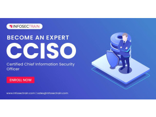 Top CCISO Certification Training course