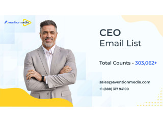 Network With CEOs Of Companies Using CEO Email List!