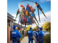 bird-removal-in-melbourne-small-0