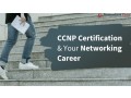 best-online-ccnp-security-training-institute-in-india-small-0