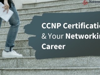 Best Online CCNP Security Training Institute in India