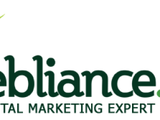 Boost Your Online Presence with Webliance Pvt Ltd | Top Digital Marketing Company in Hyderabad