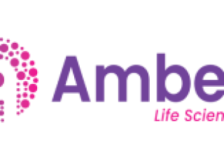 Top Pharmaceutical CMO Services: Amber Lifesciences