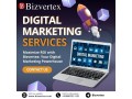 unleash-the-power-of-digital-marketing-with-bizvertex-small-0