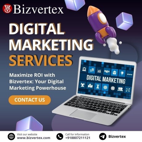 unleash-the-power-of-digital-marketing-with-bizvertex-big-0