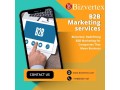 bizvertex-redefining-b2b-marketing-for-companies-that-mean-business-small-0