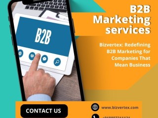 Bizvertex: Redefining B2B Marketing for Companies That Mean Business