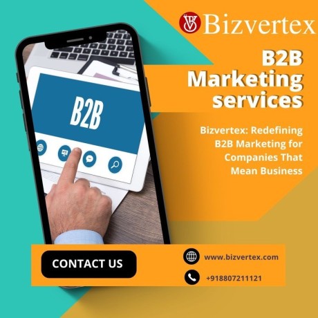 bizvertex-redefining-b2b-marketing-for-companies-that-mean-business-big-0