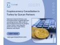 cryptocurrency-consultation-in-turkey-by-gurcan-partners-small-0