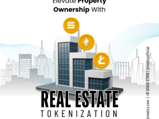 Top Real Estate Tokenization Services in Qatar