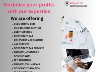 Top Chartered Accountant & Auditing Support Firm in Dubai, UAE