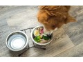 plant-based-dog-food-dubai-small-0