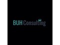 buhconsultingae-small-0