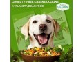 best-homemade-food-for-dogs-with-cancer-small-0