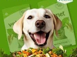 Best homemade food for dogs with cancer