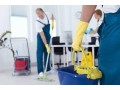 cleaning-services-in-dubai-al-farash-dubai-small-0