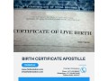 birth-certificate-apostille-services-in-uae-small-0