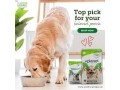 best-dog-food-for-weight-loss-labrador-small-0