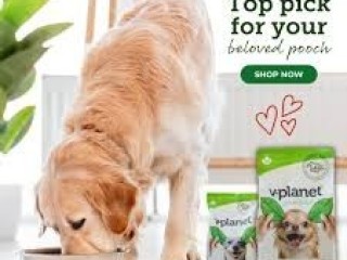 Best dog food for weight loss labrador