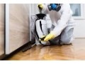 professional-termite-extermination-in-abu-dhabi-shinex-care-small-0