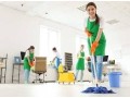 maids-in-abu-dhabi-ultra-hygiene-maids-small-0