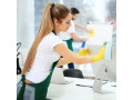 office-cleaning-in-sydney-by-the-best-cleaners-small-0