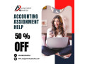 accounting-assignment-help-zenith-scaling-academic-peaks-small-0