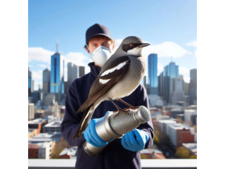 Bird Control Solutions in Melbourne