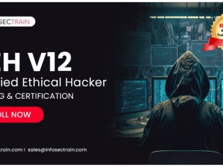 Ethical Hacker Training: Become a Certified Cybersecurity Professional