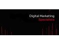 image-traders-23-years-of-digital-marketing-experience-small-2