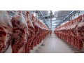 wholesale-frozen-chickens-bovine-beef-wholesale-small-1