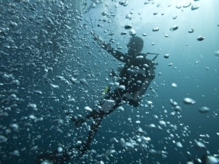 Dive in Sydney: Explore Bondi Beachs Unseen Treasures with Dive Centre Bondis