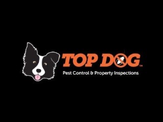 Top Dog Pest Control