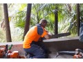 professional-tree-removal-service-in-sydney-small-0