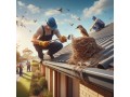 bird-nest-removal-melbourne-small-0