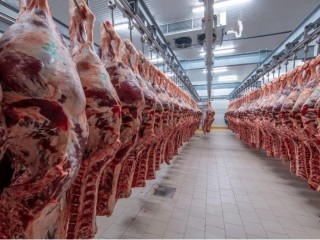 Bovine Beef wholesale, Wholesale Frozen Chocken