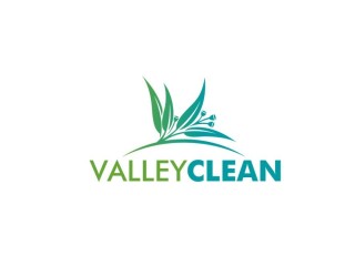 Best cleaning services by valley clean