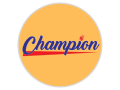 champion-ip-camera-small-2