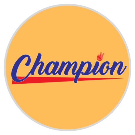 champion-ip-camera-big-2