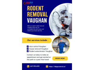 BBPP Pest Control - Expert Rodent Removal in Vaughan