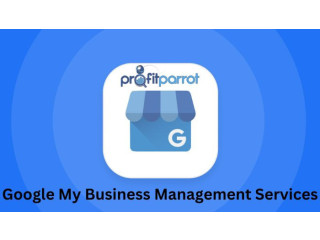 Choose The Effective Google My Business Management Services