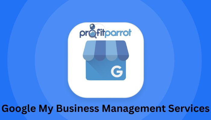 choose-the-effective-google-my-business-management-services-big-0