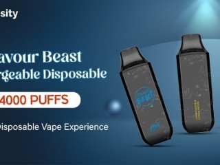 Flavour Beast Rechargeable Disposable-4000 Puffs:The Best Disposable Vape Experience