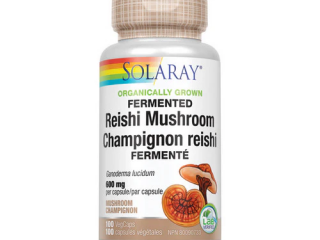 Reishi Mushroom 100 Caps by Solaray