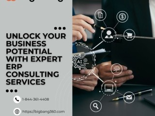 Unlock Your Business Potential with Expert ERP Consulting Services