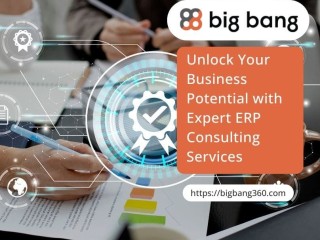 Unlock Your Business Potential with Expert ERP Consulting Services