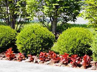 Find the Best Landscape Service Near Me